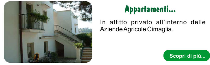 Appartamenti Cimaglia Vieste Appartamenti Cimaglia Vieste