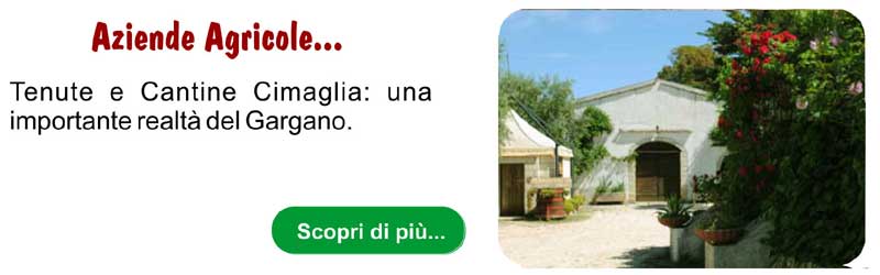 Aziende Agricole Cimaglia Aziende Agricole Cimaglia