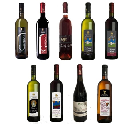 vini cantine cimaglia